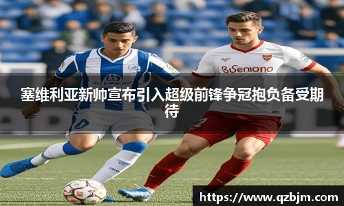 bsports登录入口