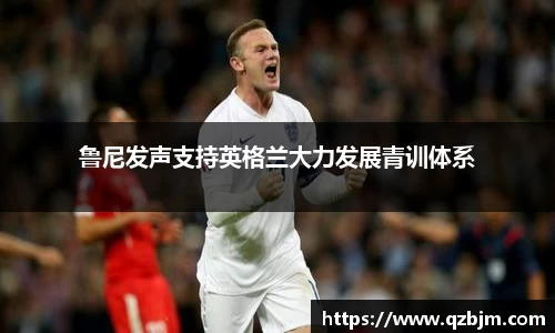 bsports官网入口
