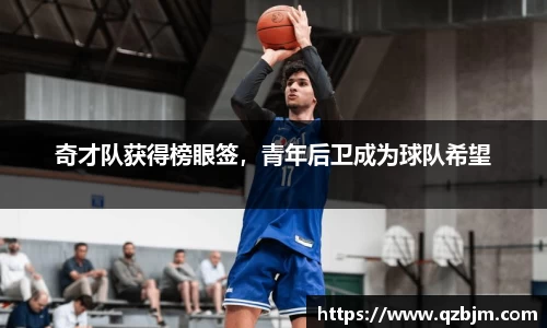 bsports登录入口