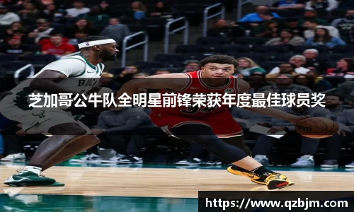 bsports登录入口