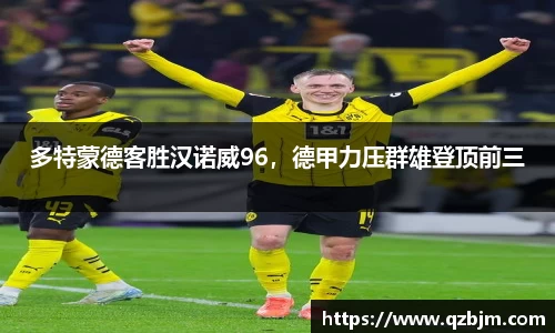bsports登录入口
