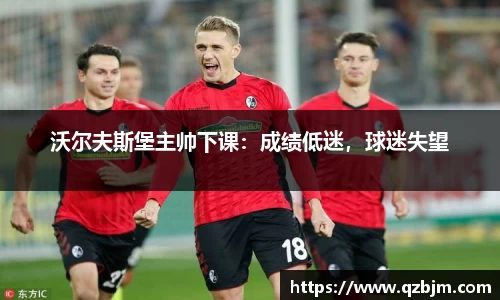 bsports官网入口