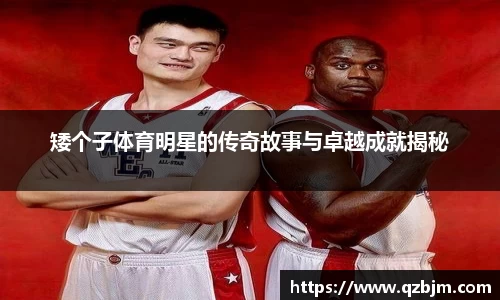 bsports登录入口