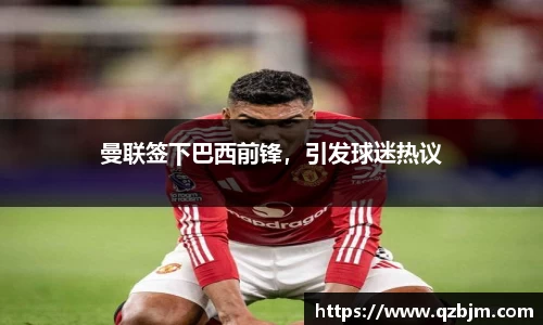 bsports登录入口