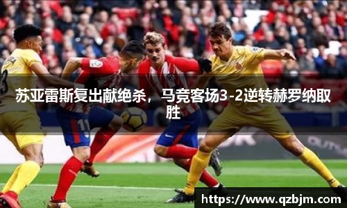 Bsports网页版
