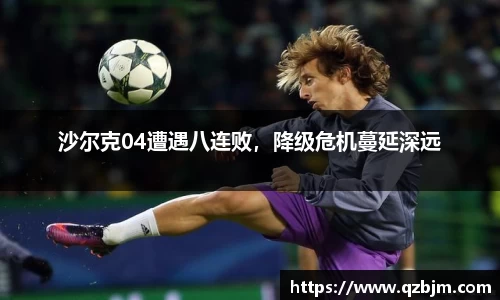 bsports官网入口