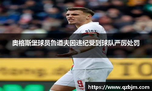 bsports官网入口