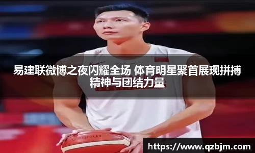 bsports官网入口