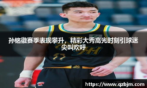 bsports登录入口