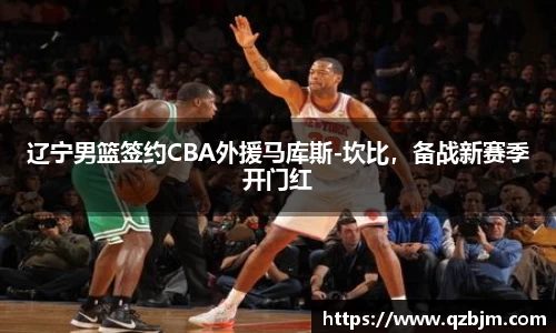 bsports官网入口