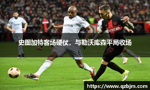 bsports登录入口