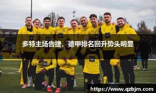 bsports登录入口