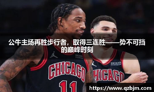 bsports登录入口