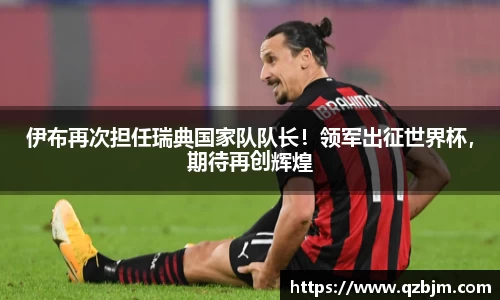 bsports官网入口