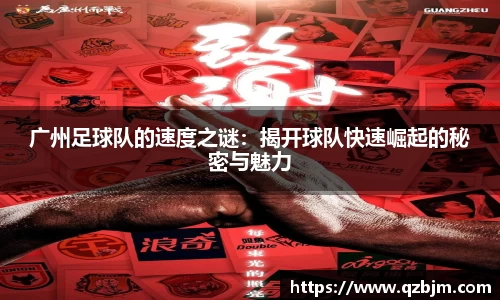 bsports登录入口