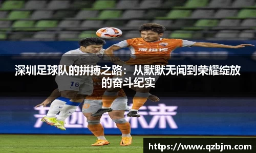 bsports登录入口