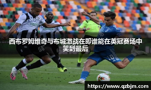 bsports登录入口