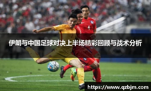 bsports登录入口