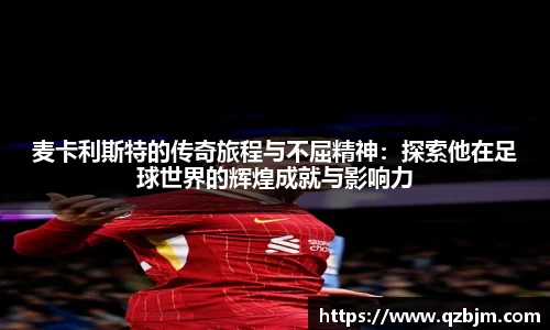 bsports登录入口