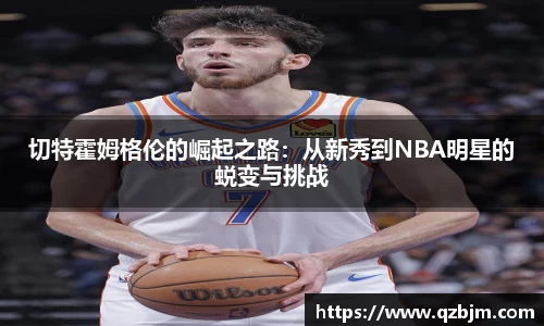 bsports登录入口