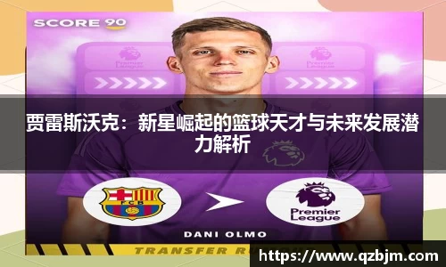 bsports登录入口