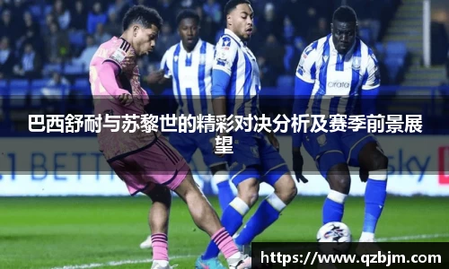 bsports官网入口