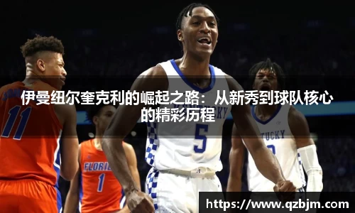 bsports登录入口