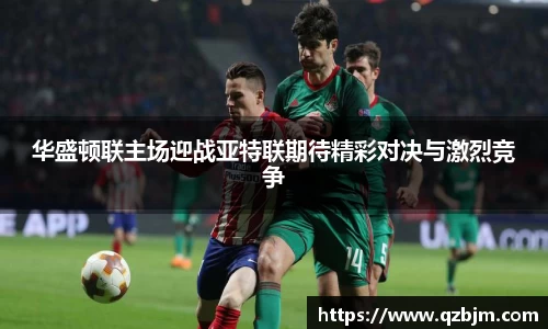 bsports登录入口