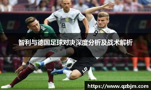 bsports官网入口