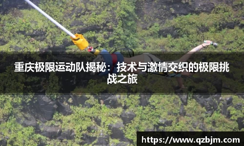 bsports官网入口