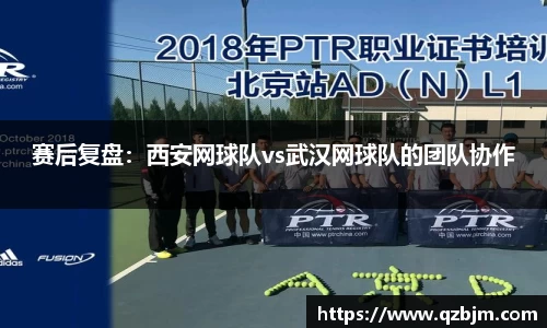 bsports登录入口