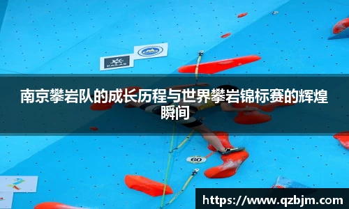 bsports官网入口